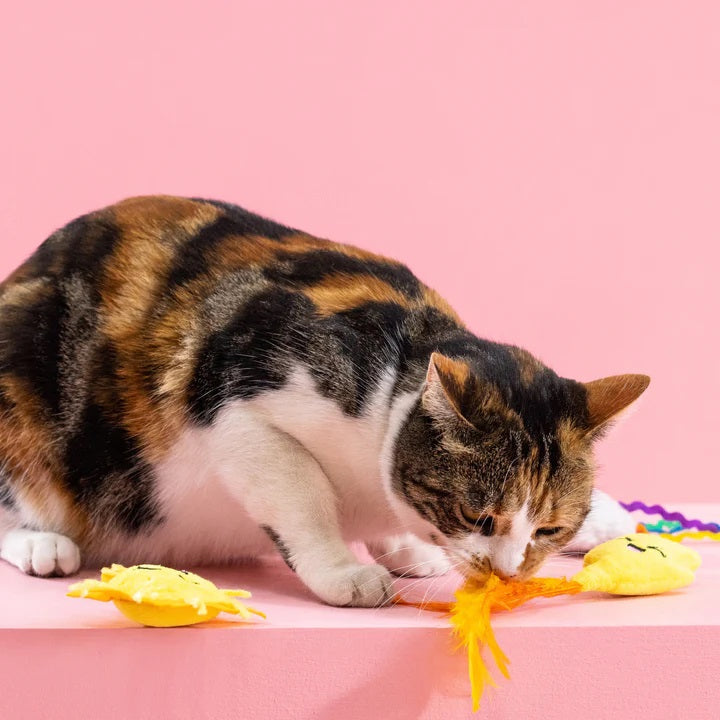 PetShop by Fringe Studio Purr-fect Weather Cat Toy Set 3pc