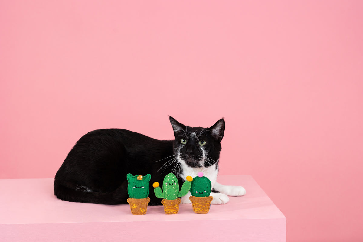 PetShop by Fringe Studio Cat-us Friends Cat Toys Set 3pc