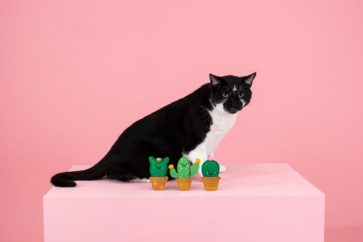 PetShop by Fringe Studio Cat-us Friends Cat Toys Set 3pc