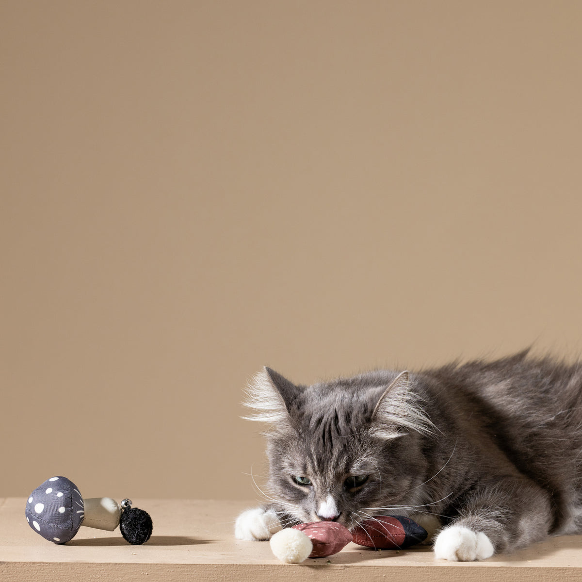 PetShop by Fringe Studio Forest Finds Cat Toy Set 3pc