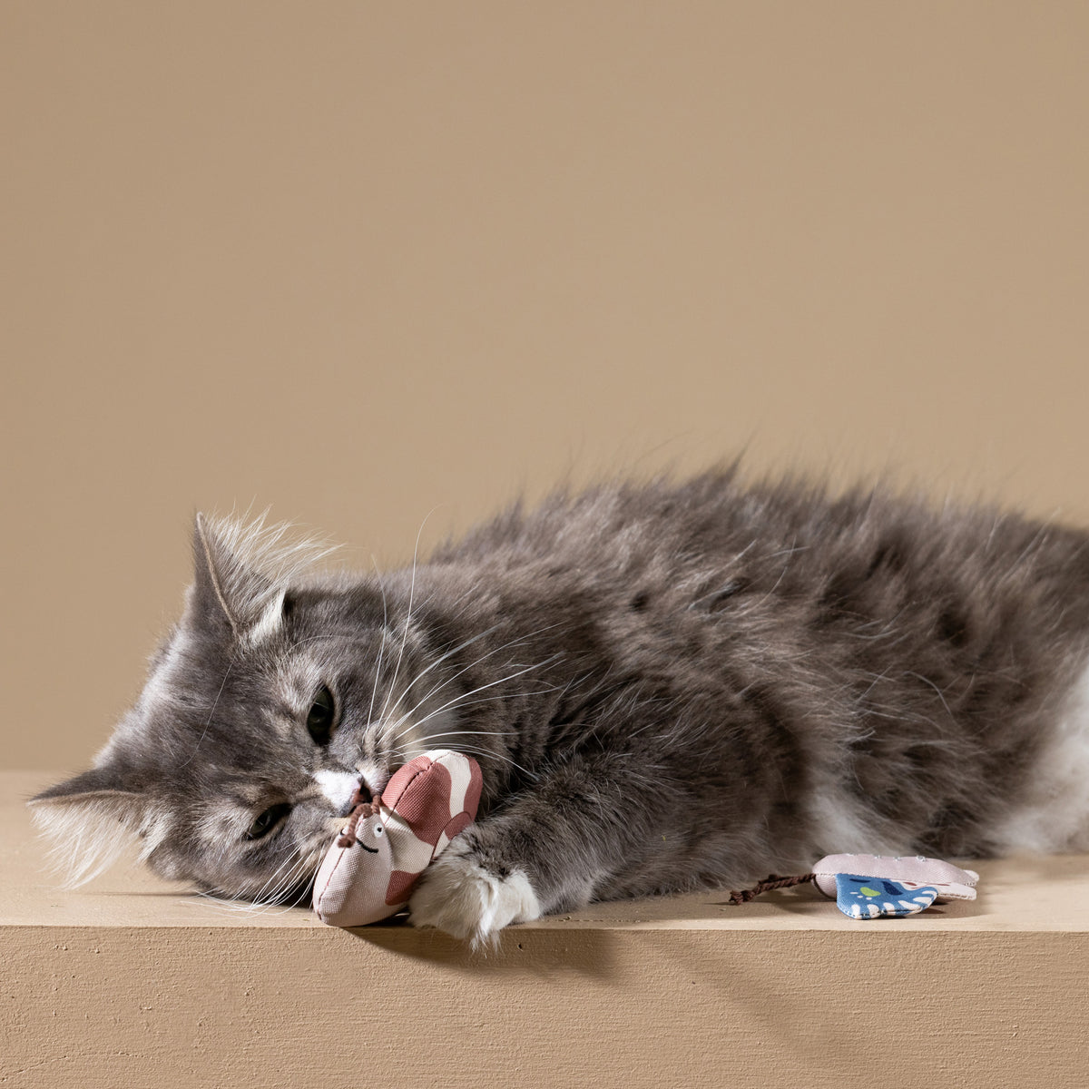 PetShop by Fringe Studio Catch Me If You Can Cat To Set 3pc