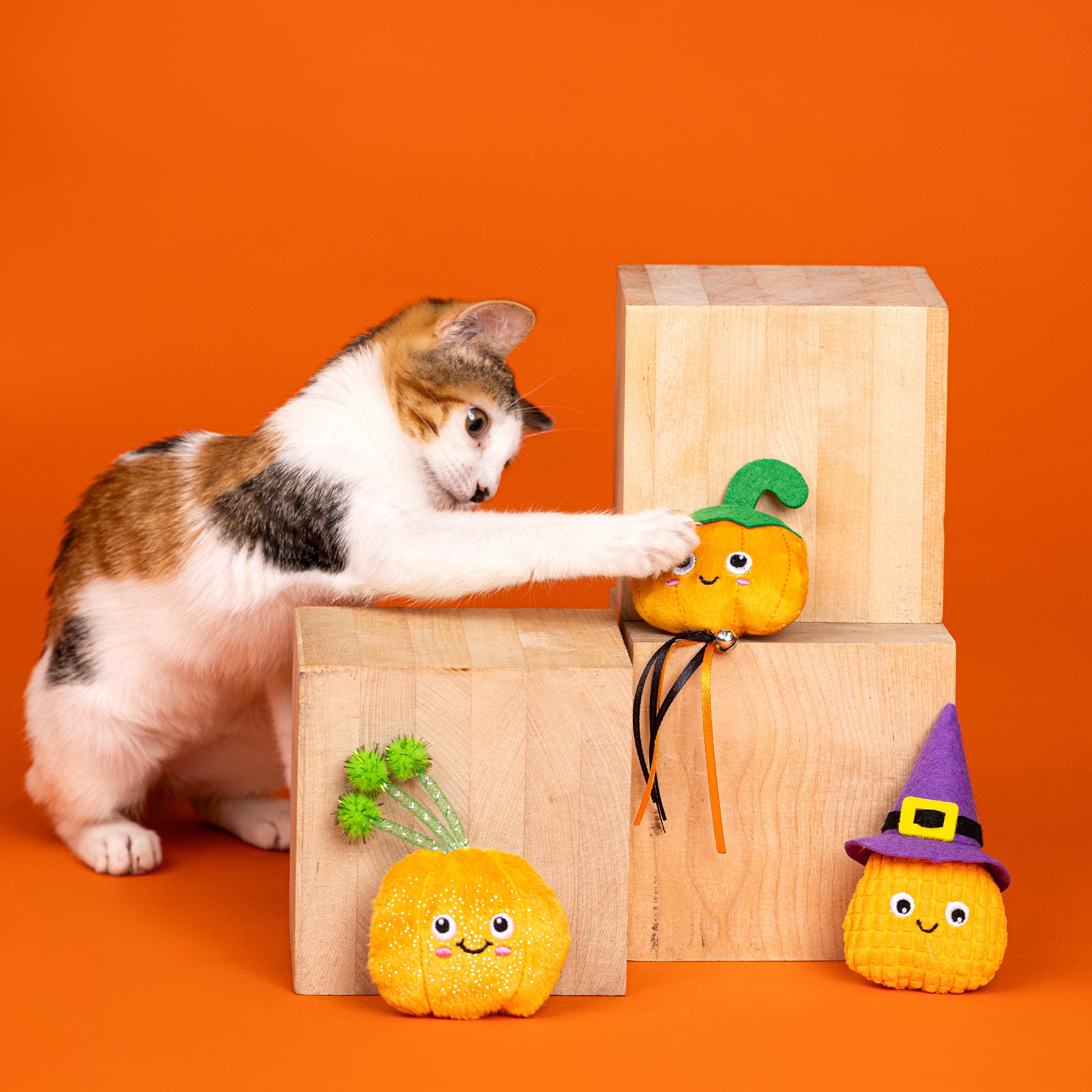 PetShop by Fringe Studio Witch Of The Patch Cat Toy Set Of 3