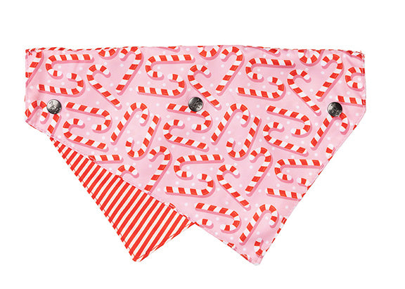 FuzzYard Bandana Candy Cane-PNK-M/L