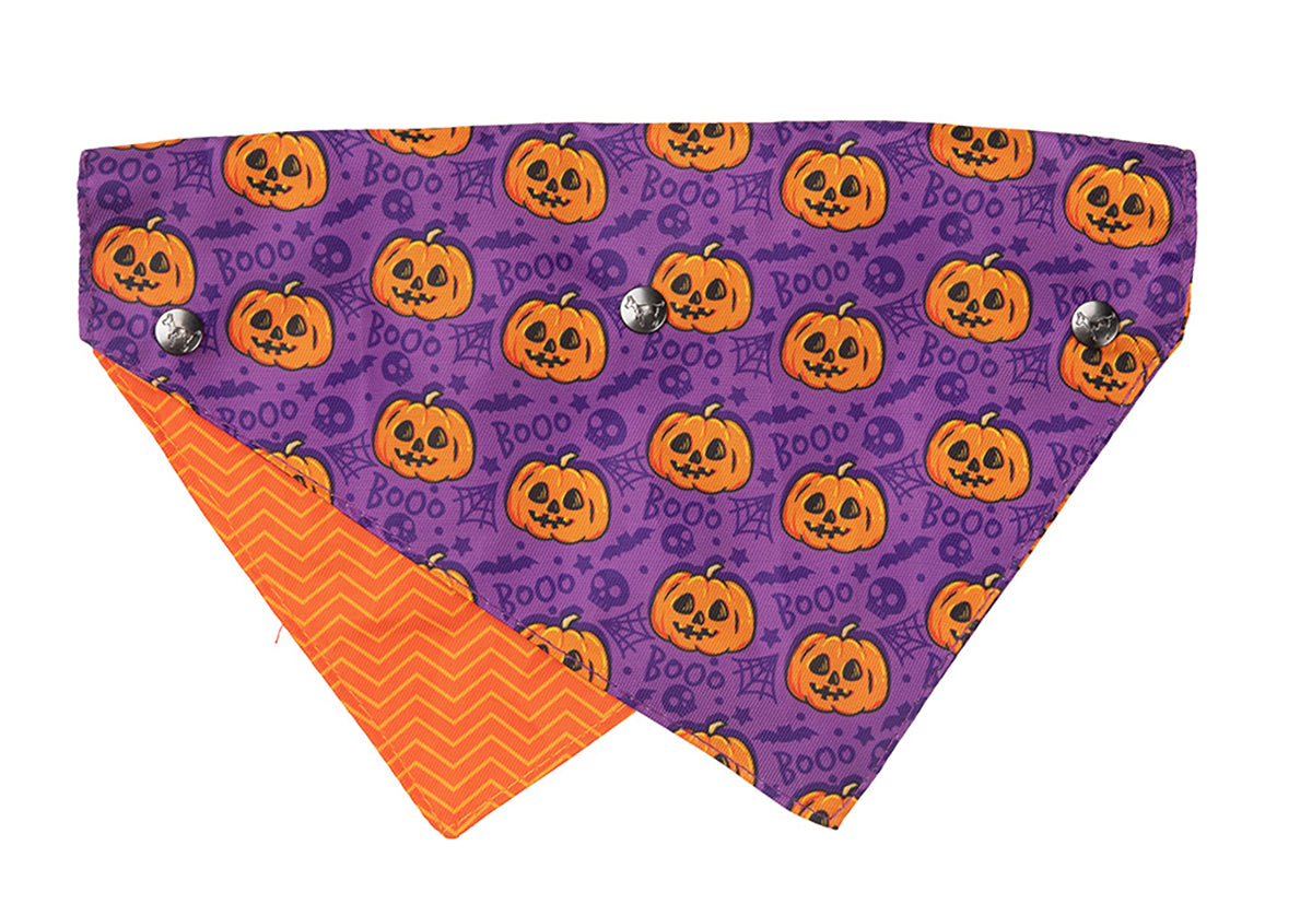 FuzzYard Bandana Jack Jack Jackie Lantern Purple S/M