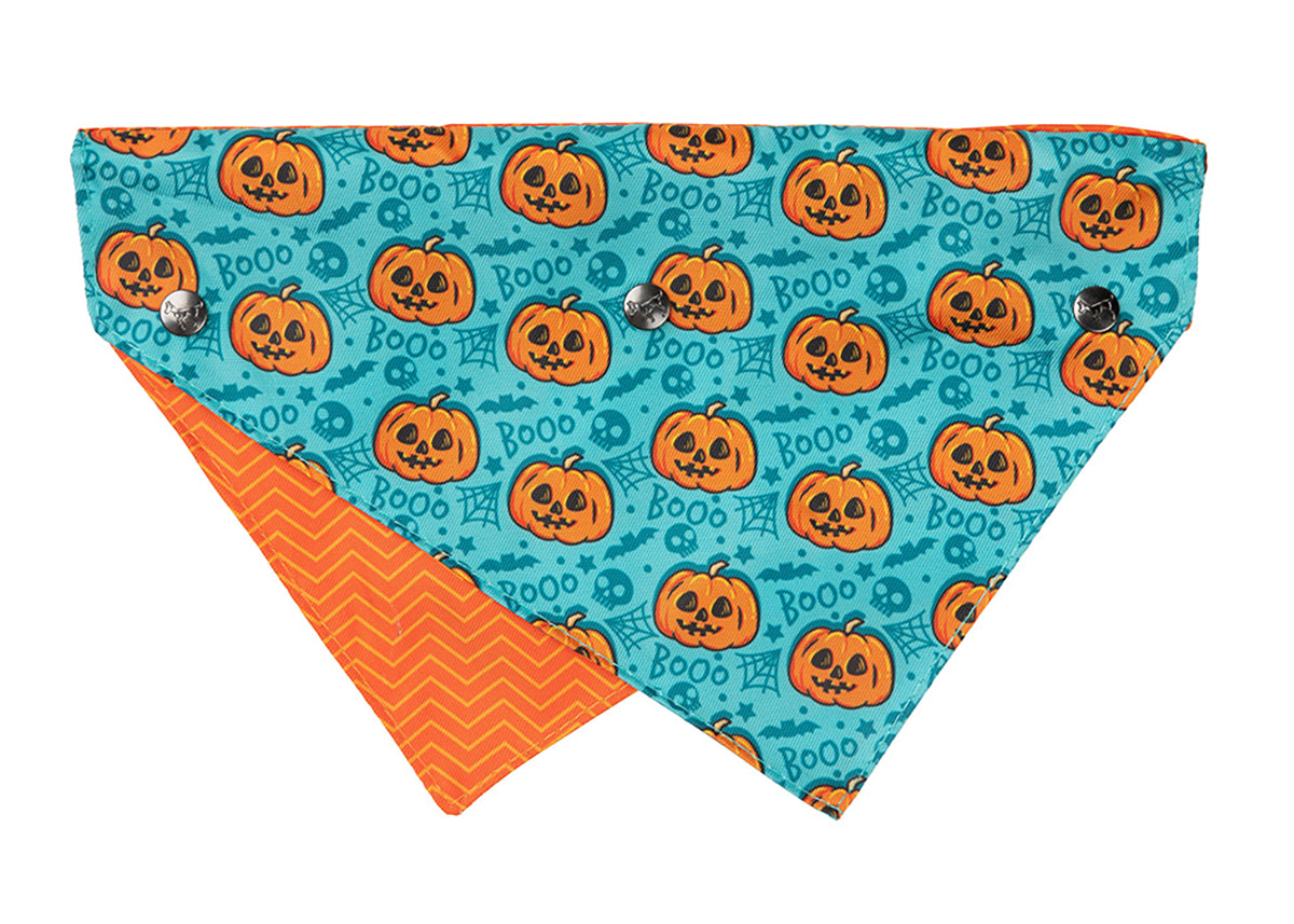 FuzzYard Bandana Jack Jack Jackie Lantern Teal S/M