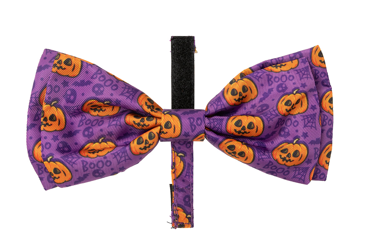 FuzzYard Bowtie Jack Jack Jackie Lantern Purple L