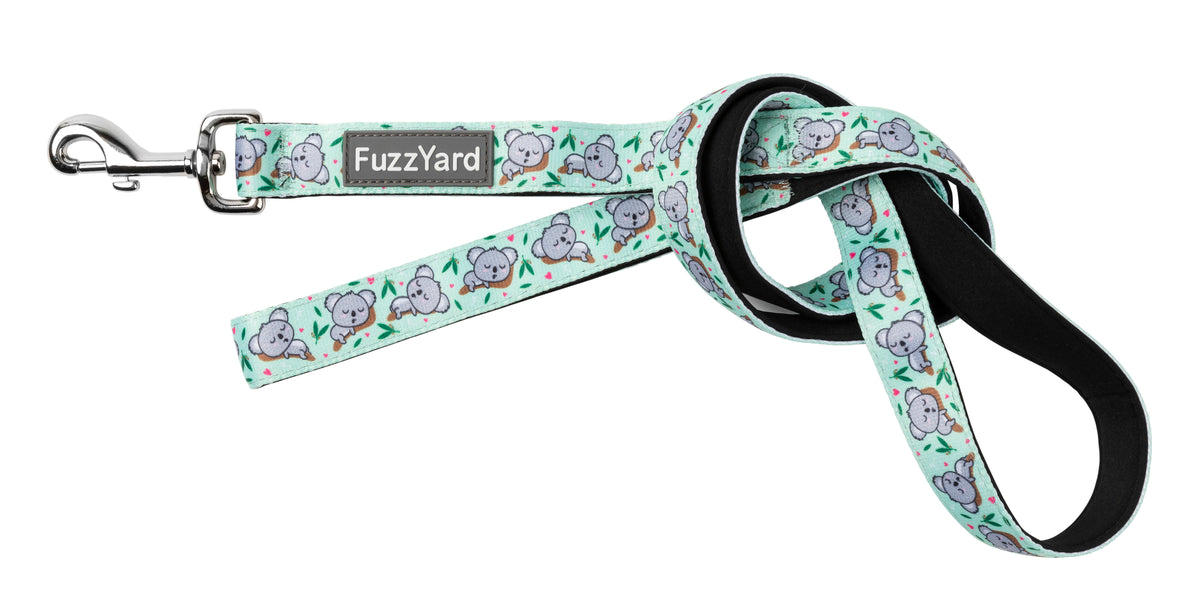 FuzzYard Leash Dreamtime Koala Small