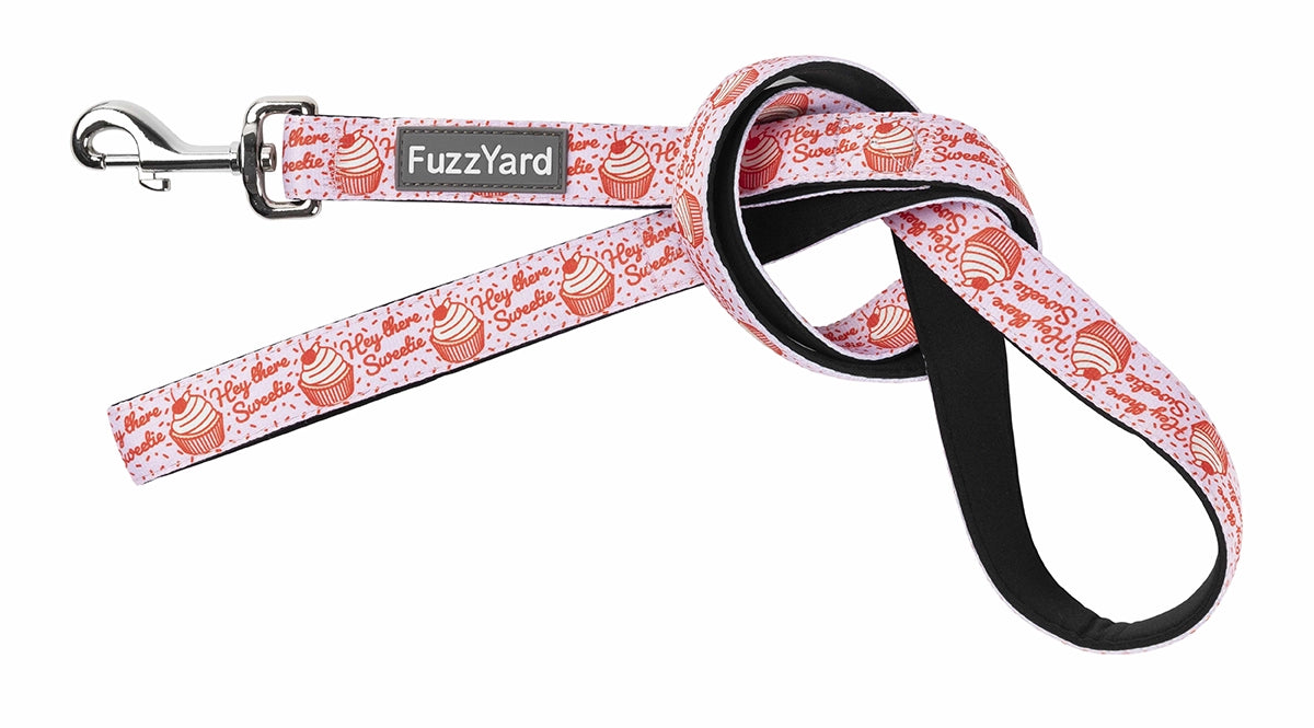 FuzzYard Leash Hey There Sweetie Large