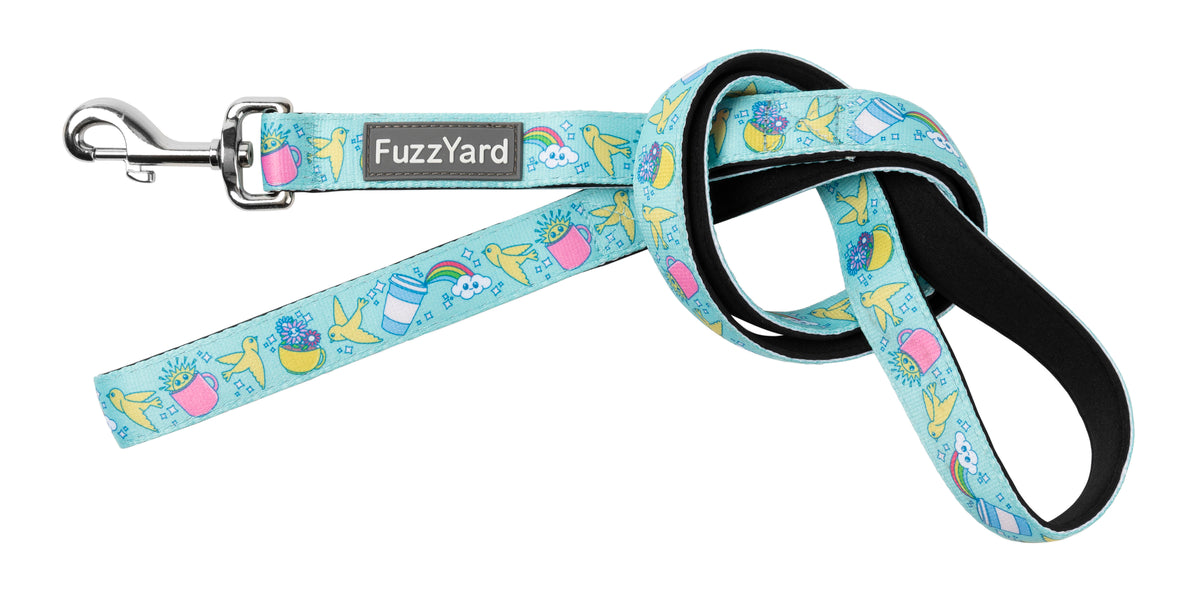 FuzzYard Leash Wakey Wakey Large