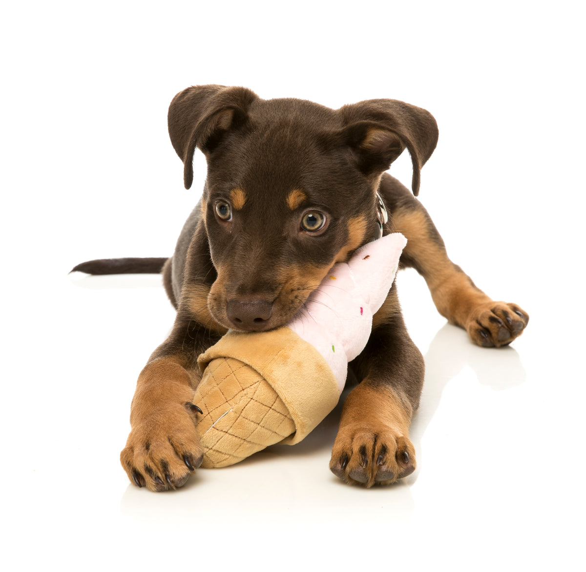 FuzzYard Dog Toy Ice Cream