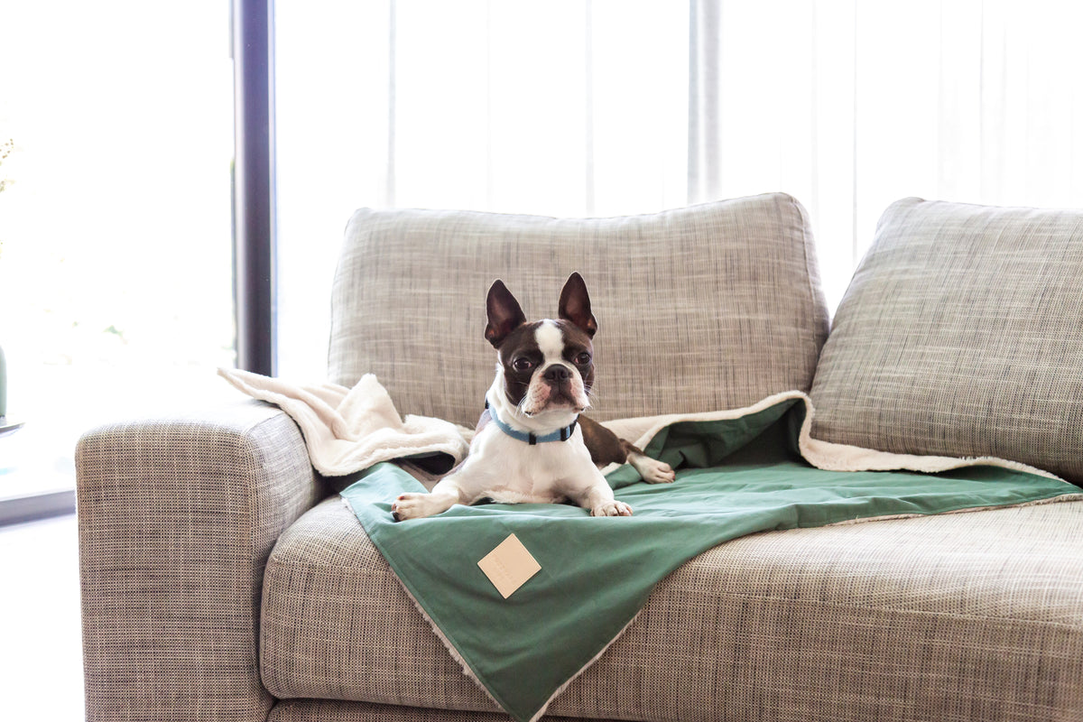 FuzzYard Life Pet Blanket - Slate Grey S