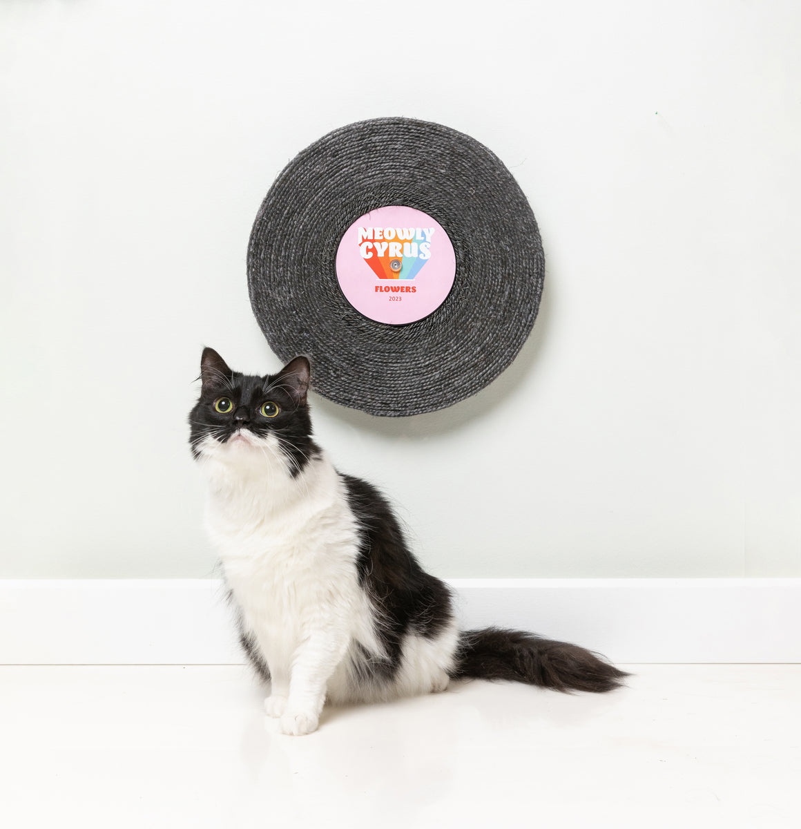 FuzzYard Meowly Cyrus Record Cat Scratcher Toy