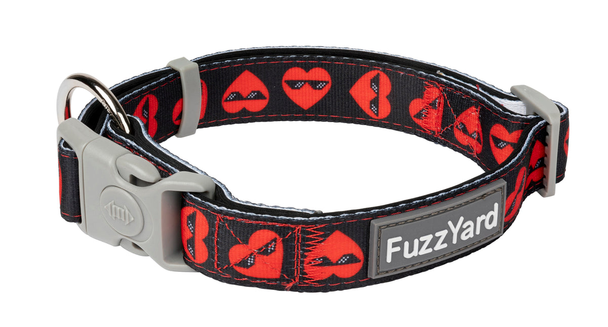 FuzzYard Collar Heartbreaker Medium