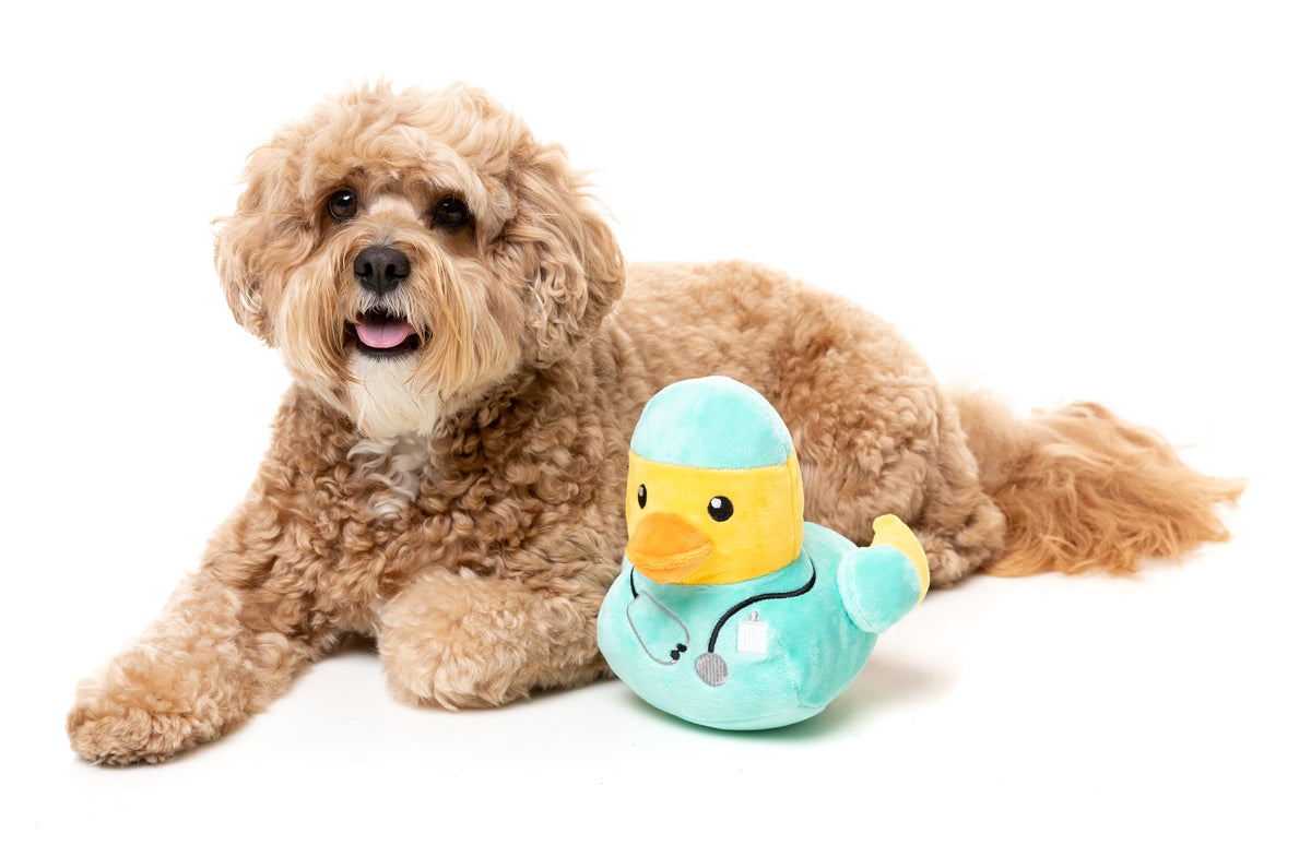 FuzzYard Ducktor Plush Dog Toy