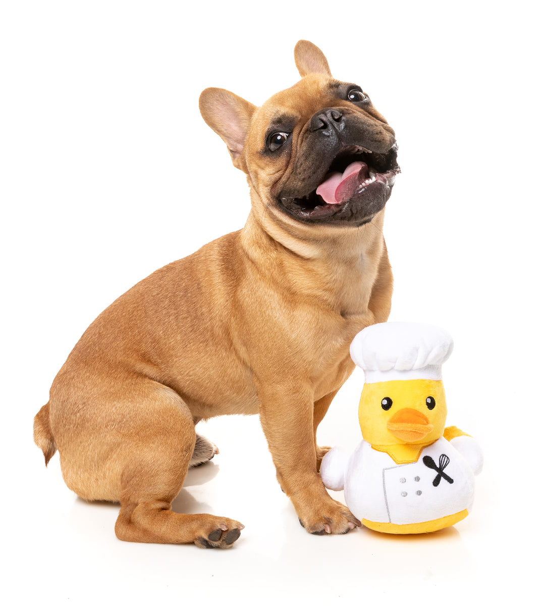 FuzzYard Gordon Quacksay Plush Dog Toy