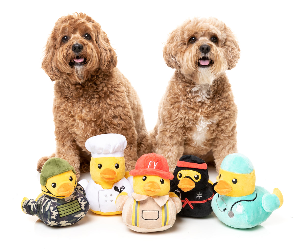 FuzzYard Quackie Chan Plush Dog Toy