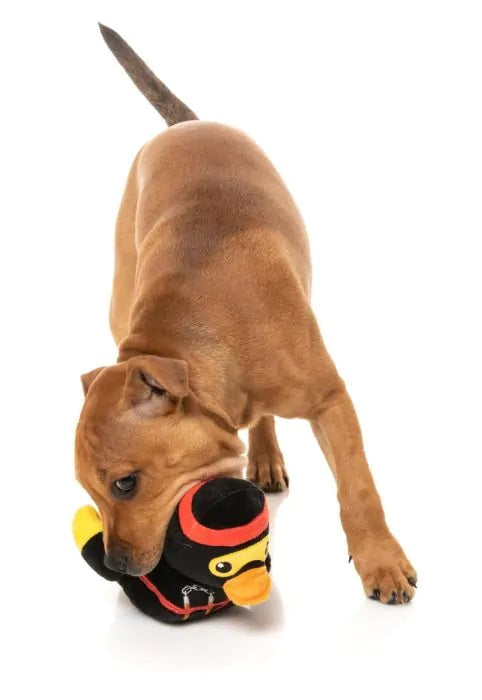 FuzzYard Quackie Chan Plush Dog Toy