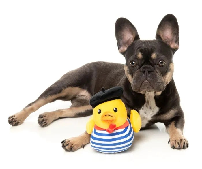 FuzzYard Timotheé Chalaquack Plush Dog Toy Large