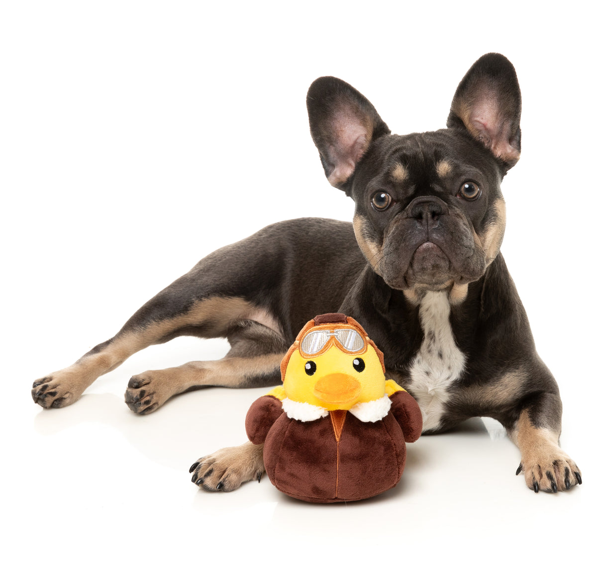 FuzzYard Amelia Quackhart Plush Dog Toy Small