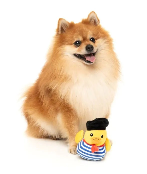 FuzzYard Timotheé Chalaquack Plush Dog Toy Small