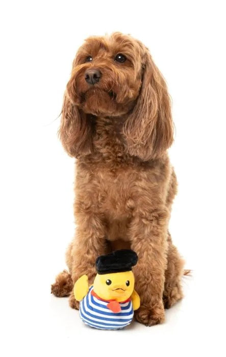 FuzzYard Timotheé Chalaquack Plush Dog Toy Small