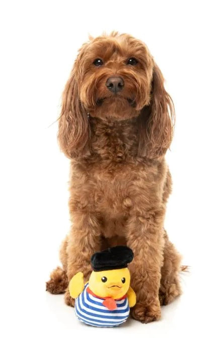 FuzzYard Timotheé Chalaquack Plush Dog Toy Small