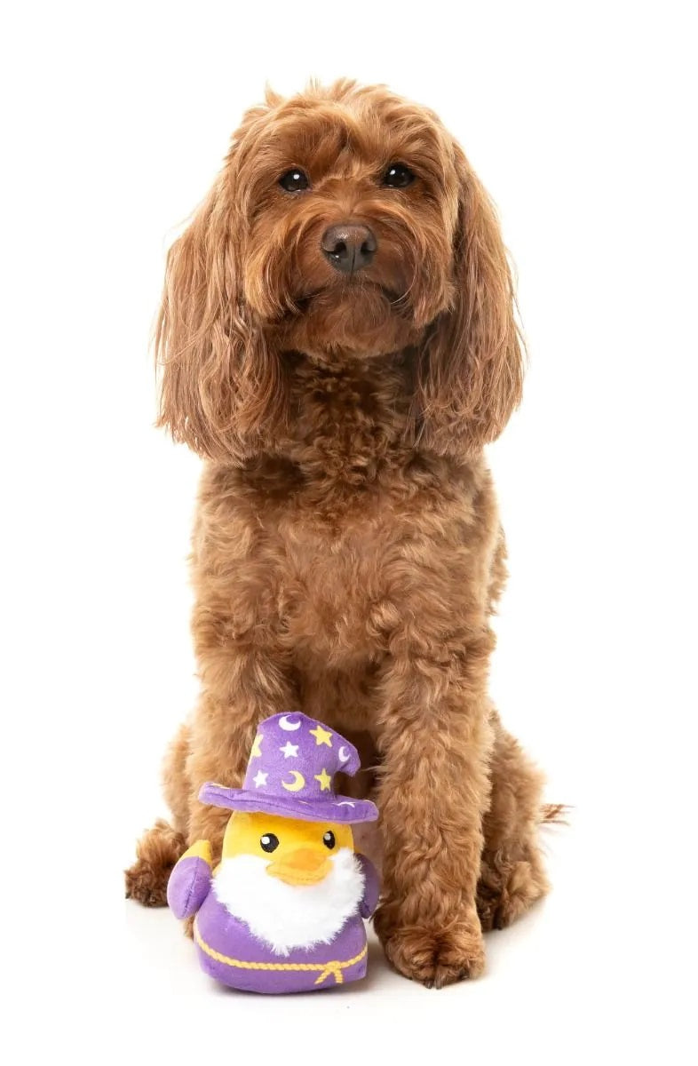 FuzzYard Sirius Quack Plush Dog Toy Small