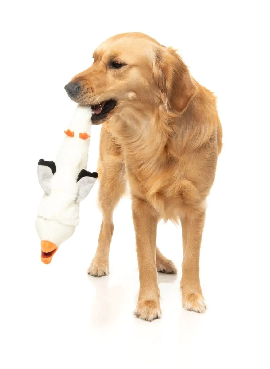 FuzzYard SeeYa Seagull Plush Dog Toy