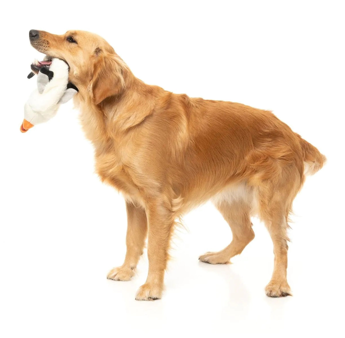 FuzzYard SeeYa Seagull Plush Dog Toy