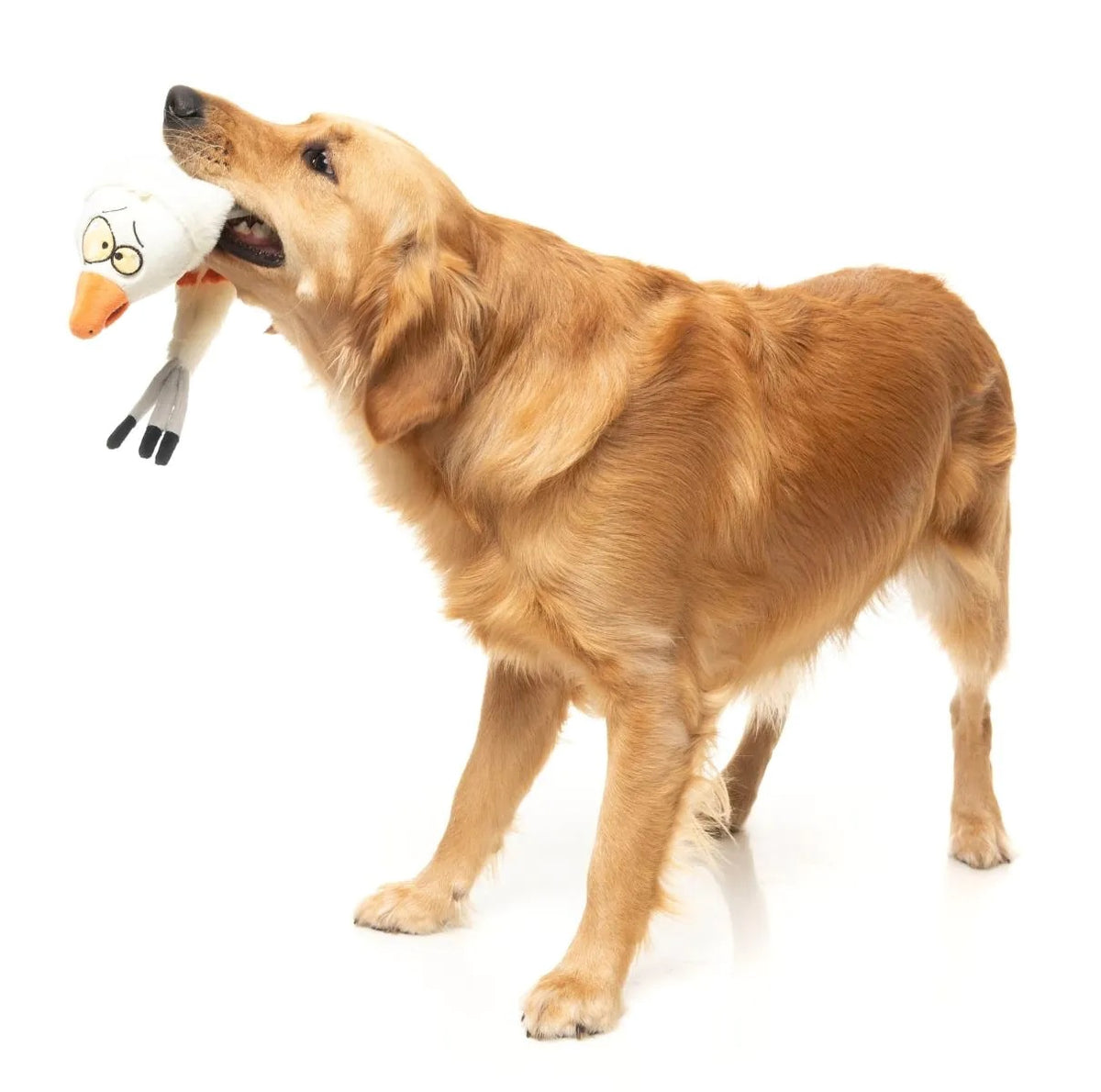 FuzzYard SeeYa Seagull Plush Dog Toy