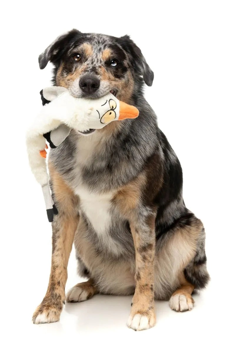 FuzzYard SeeYa Seagull Plush Dog Toy