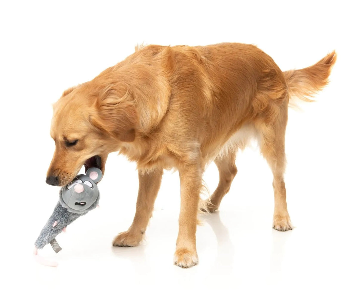 FuzzYard Rack Off Rat Plush Dog Toy