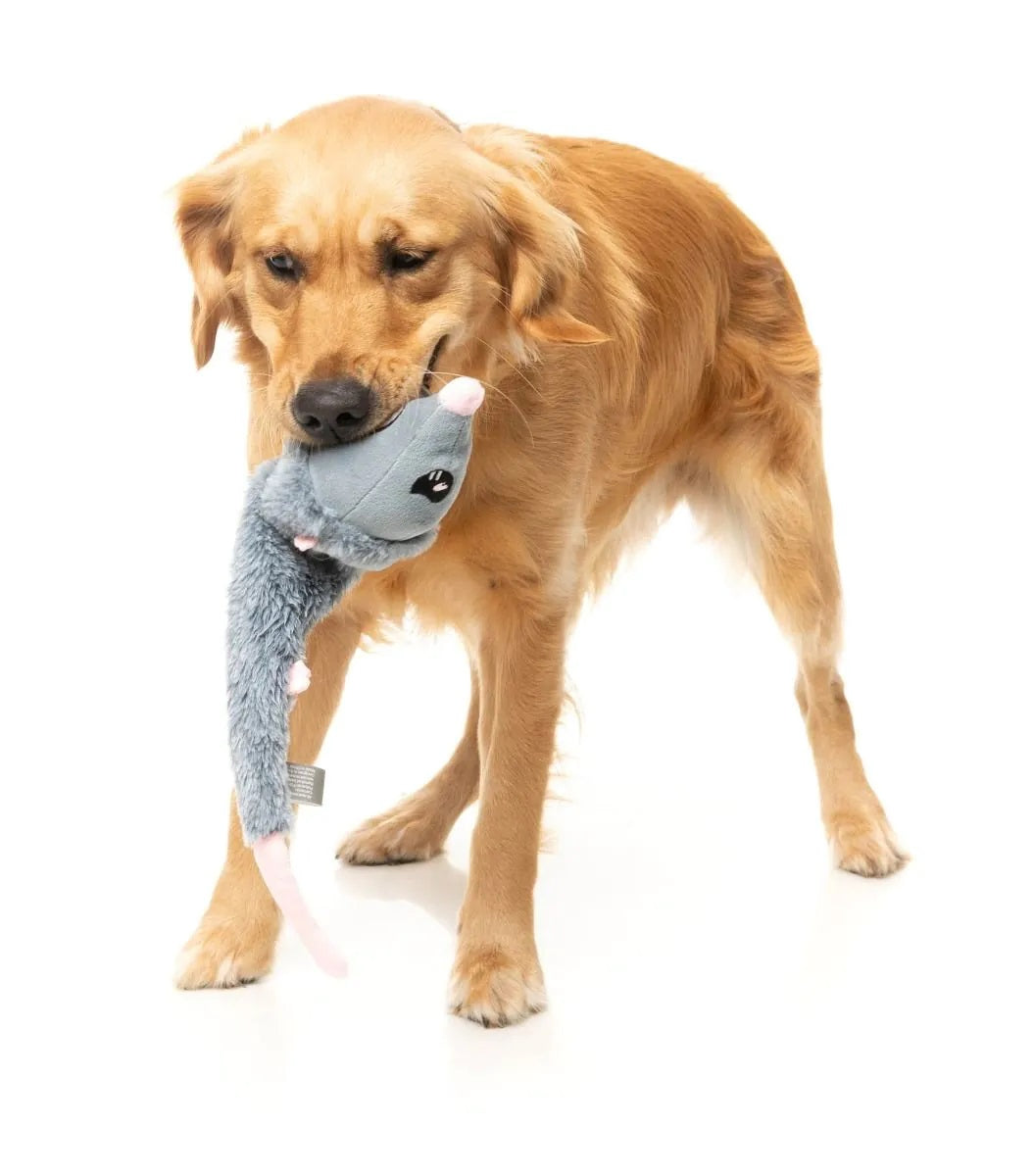 FuzzYard Rack Off Rat Plush Dog Toy