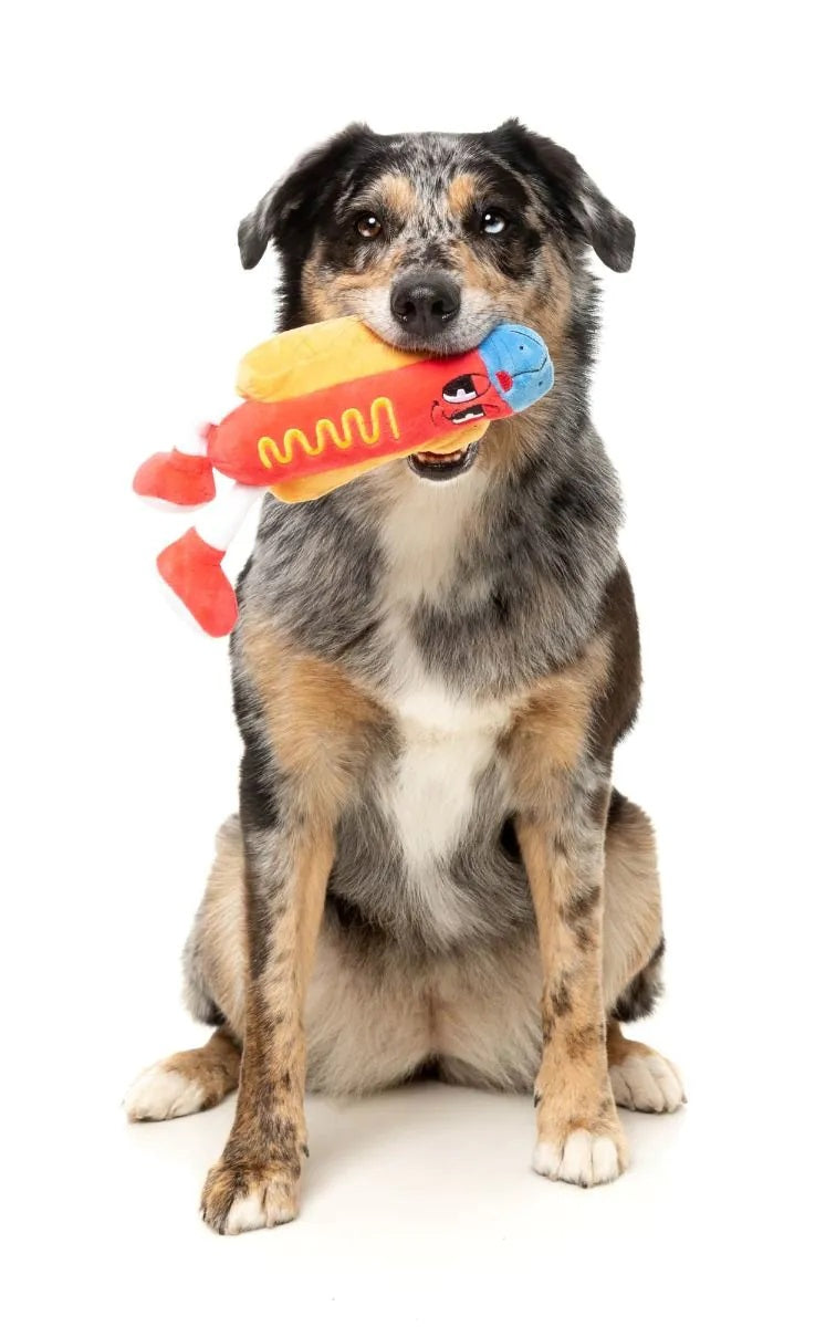 FuzzYard Franky Plush Dog Toy