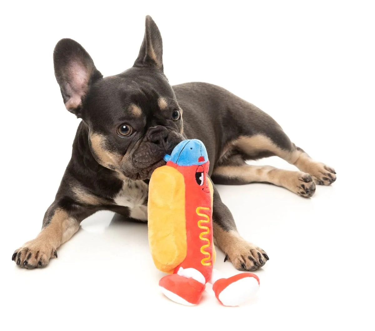 FuzzYard Franky Plush Dog Toy