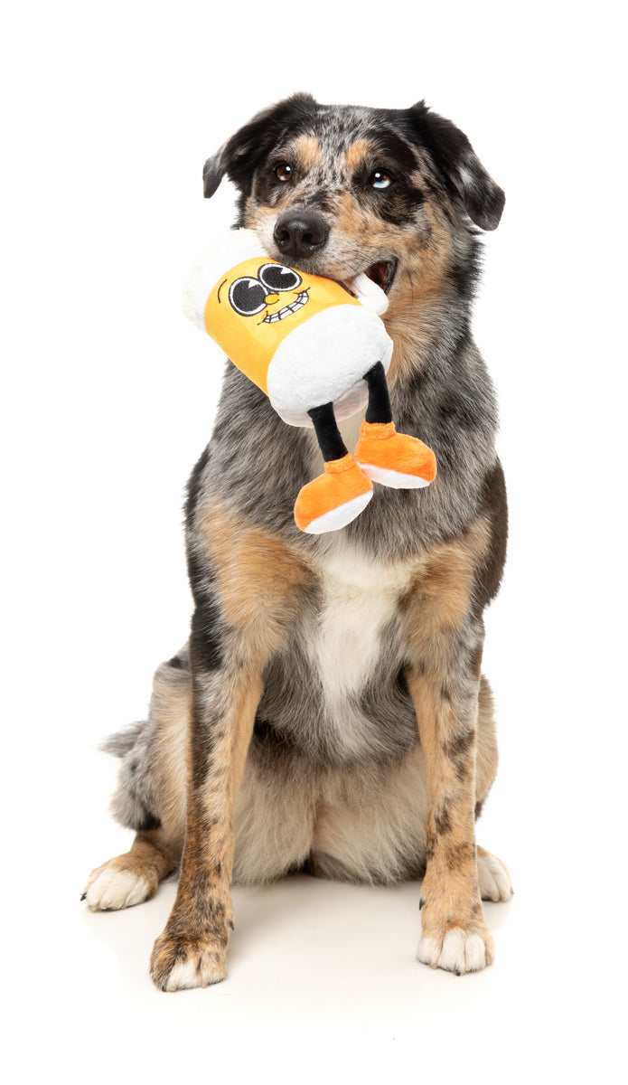 FuzzYard Steinzy Plush Dog Toy