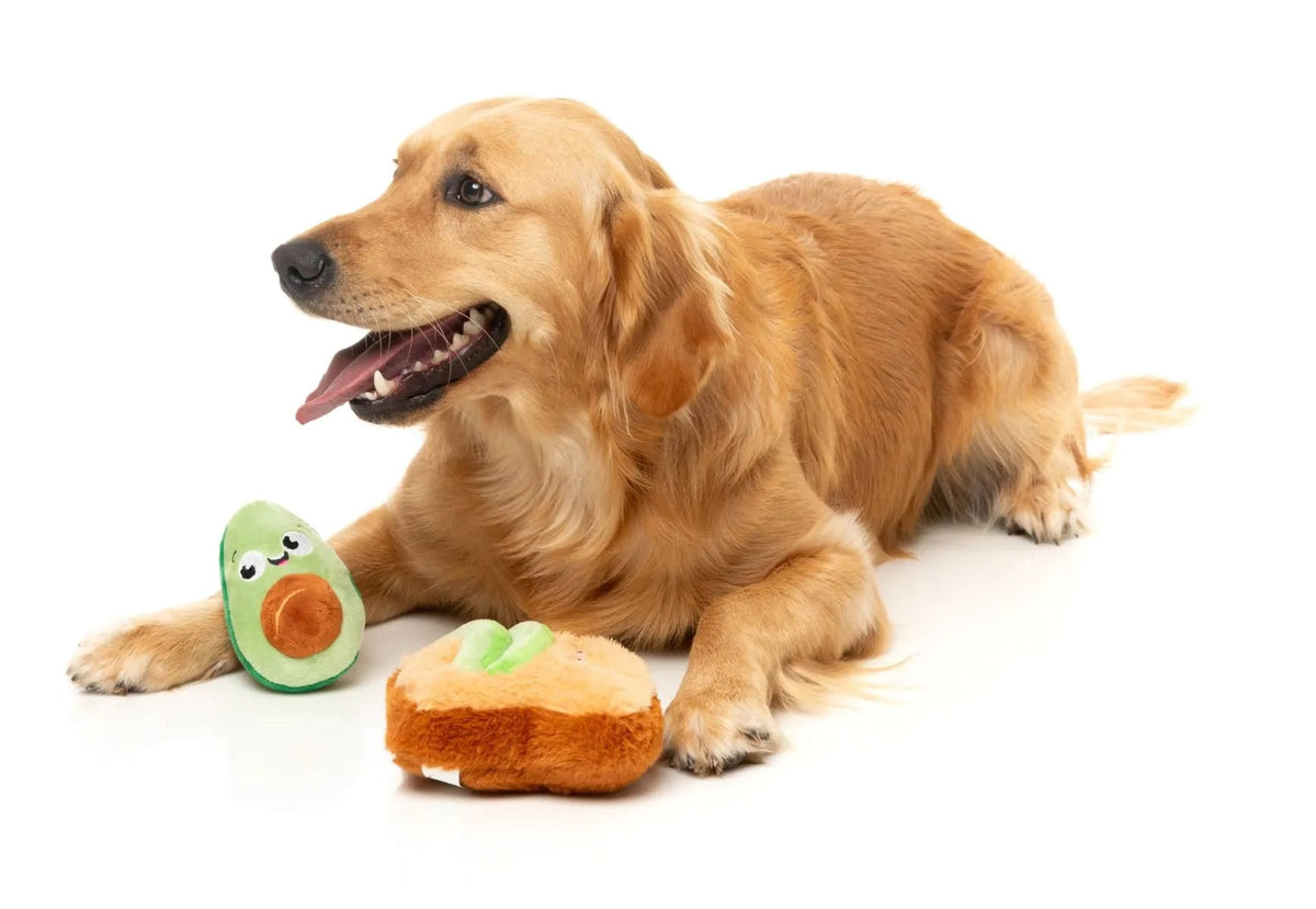 FuzzYard Avocado & Toast Plush Dog Toy 2pk