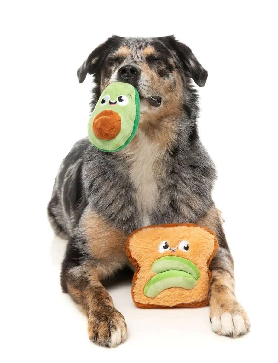 FuzzYard Avocado & Toast Plush Dog Toy 2pk