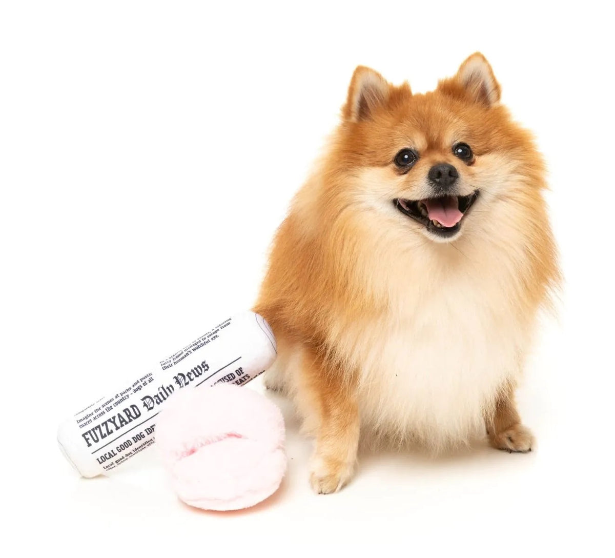 FuzzYard Fetch My Slippers & Paper Plush Dog Toy 2pk