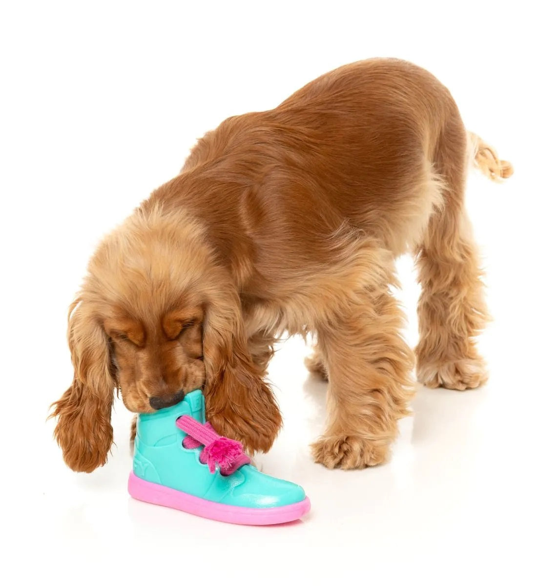 FuzzYard Fresh Kicks N' Licks Dog Chew Toy