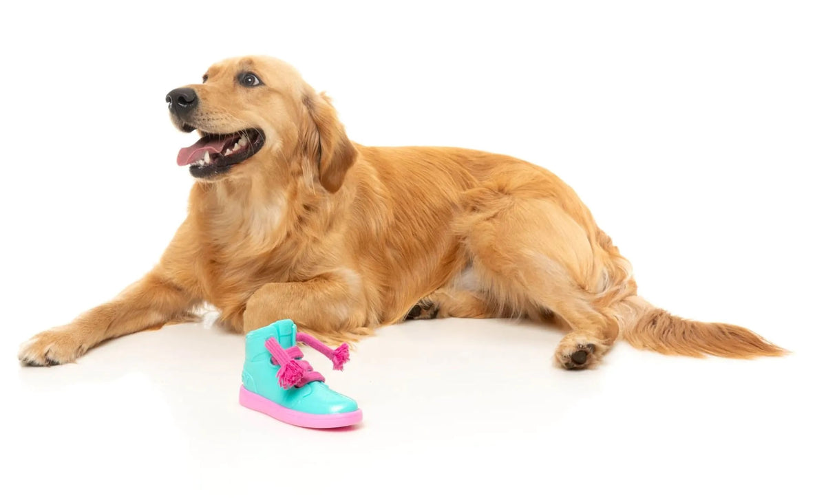 FuzzYard Fresh Kicks N' Licks Dog Chew Toy