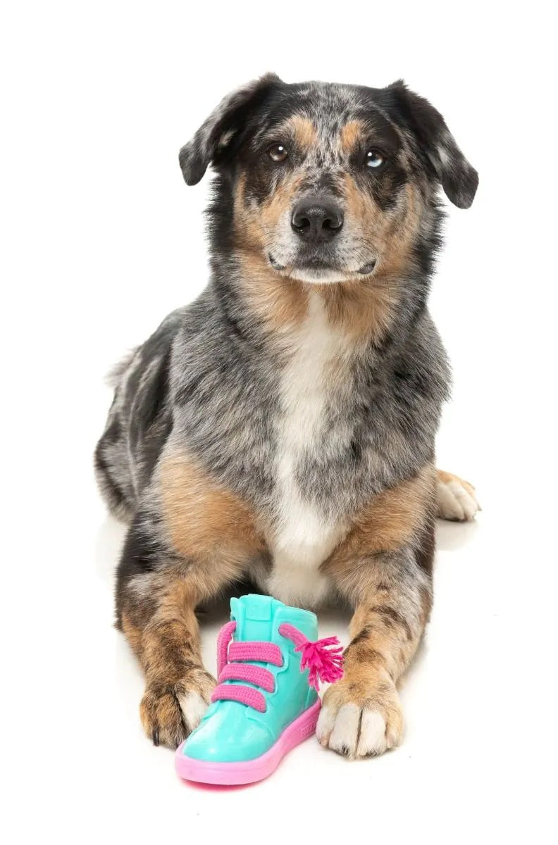 FuzzYard Fresh Kicks N' Licks Dog Chew Toy