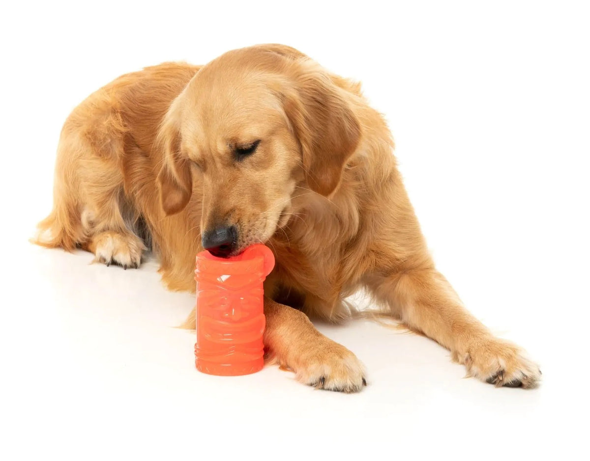 FuzzYard Pina Coolada Freeze Dog Chew Toy