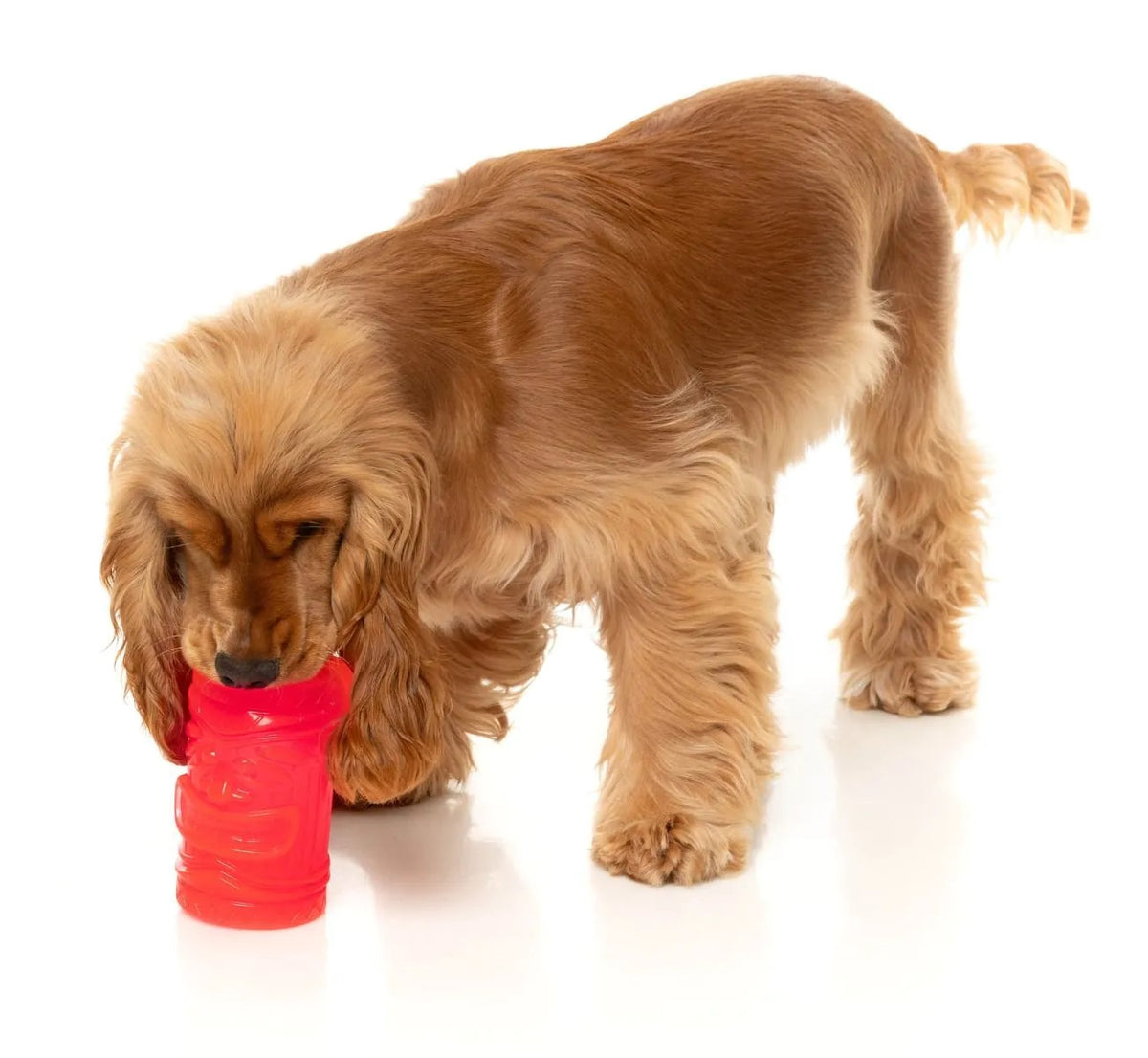 FuzzYard Pina Coolada Freeze Dog Chew Toy