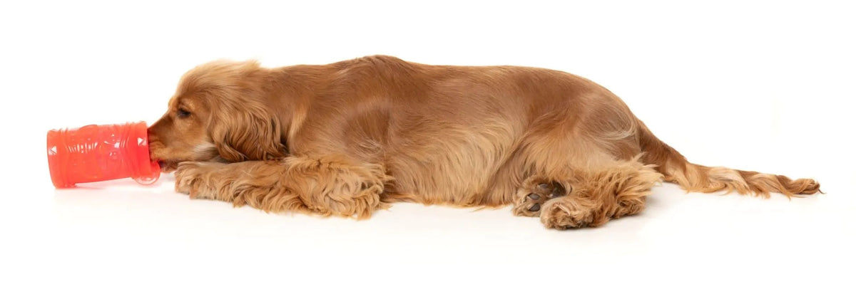 FuzzYard Pina Coolada Freeze Dog Chew Toy