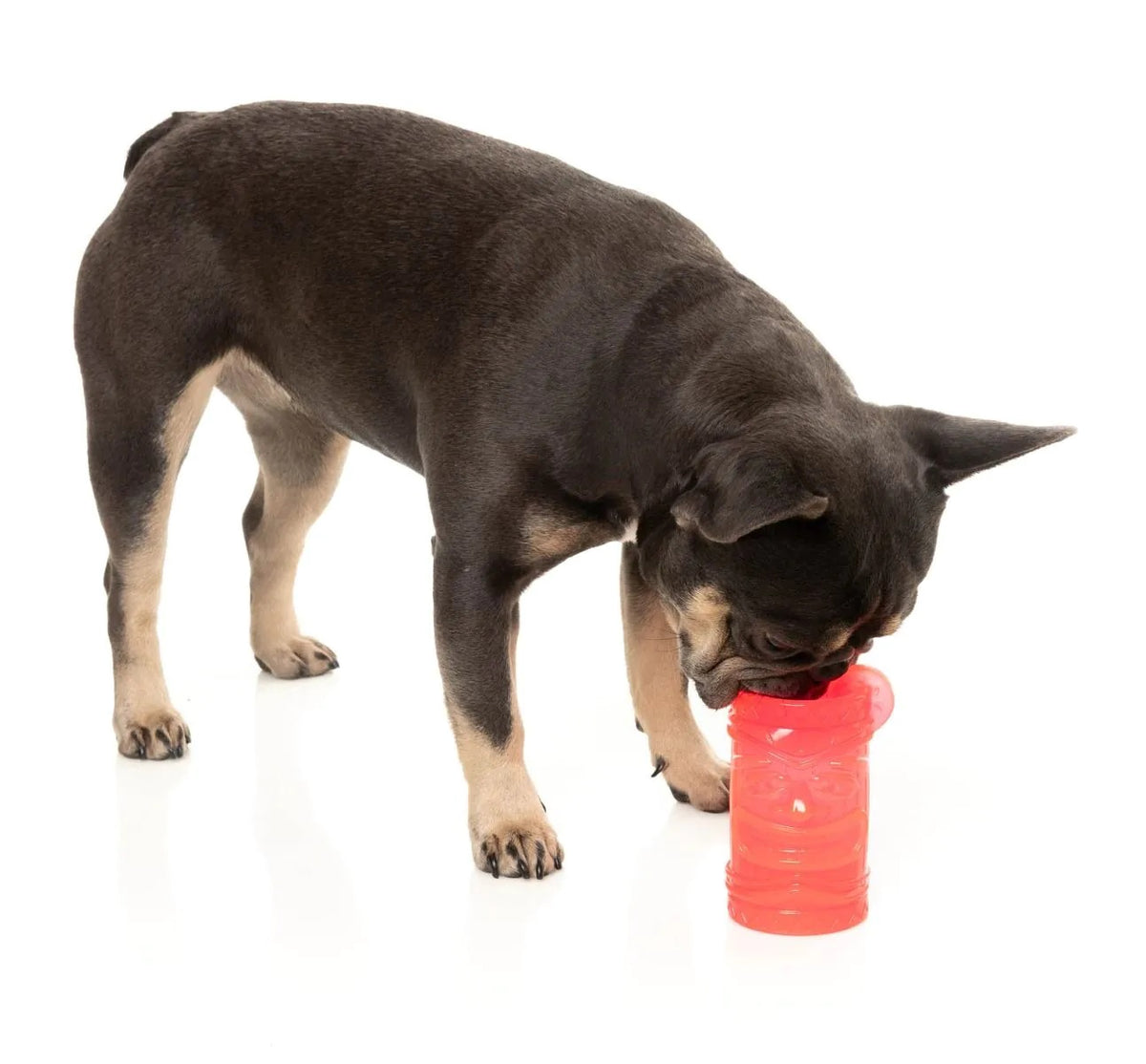 FuzzYard Pina Coolada Freeze Dog Chew Toy