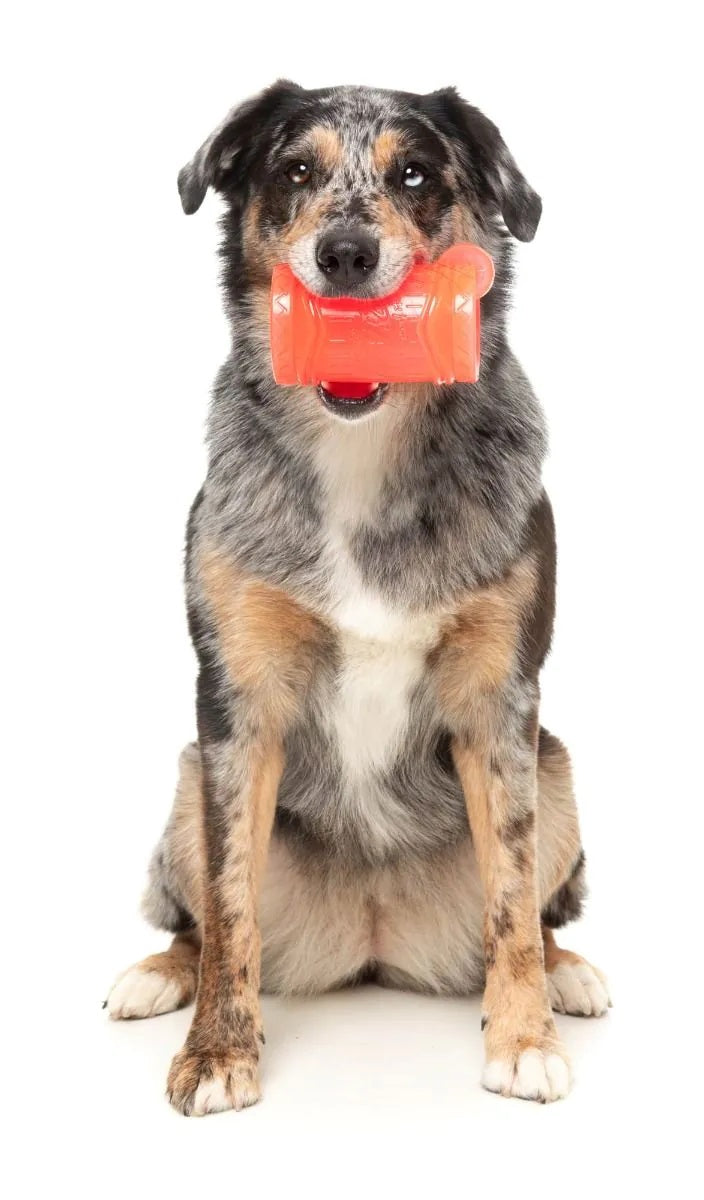 FuzzYard Pina Coolada Freeze Dog Chew Toy