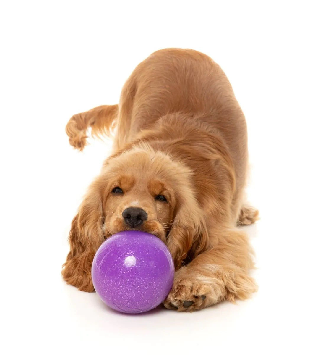 FuzzYard Truth Tellin' Treat Ball Dog Chew Toy