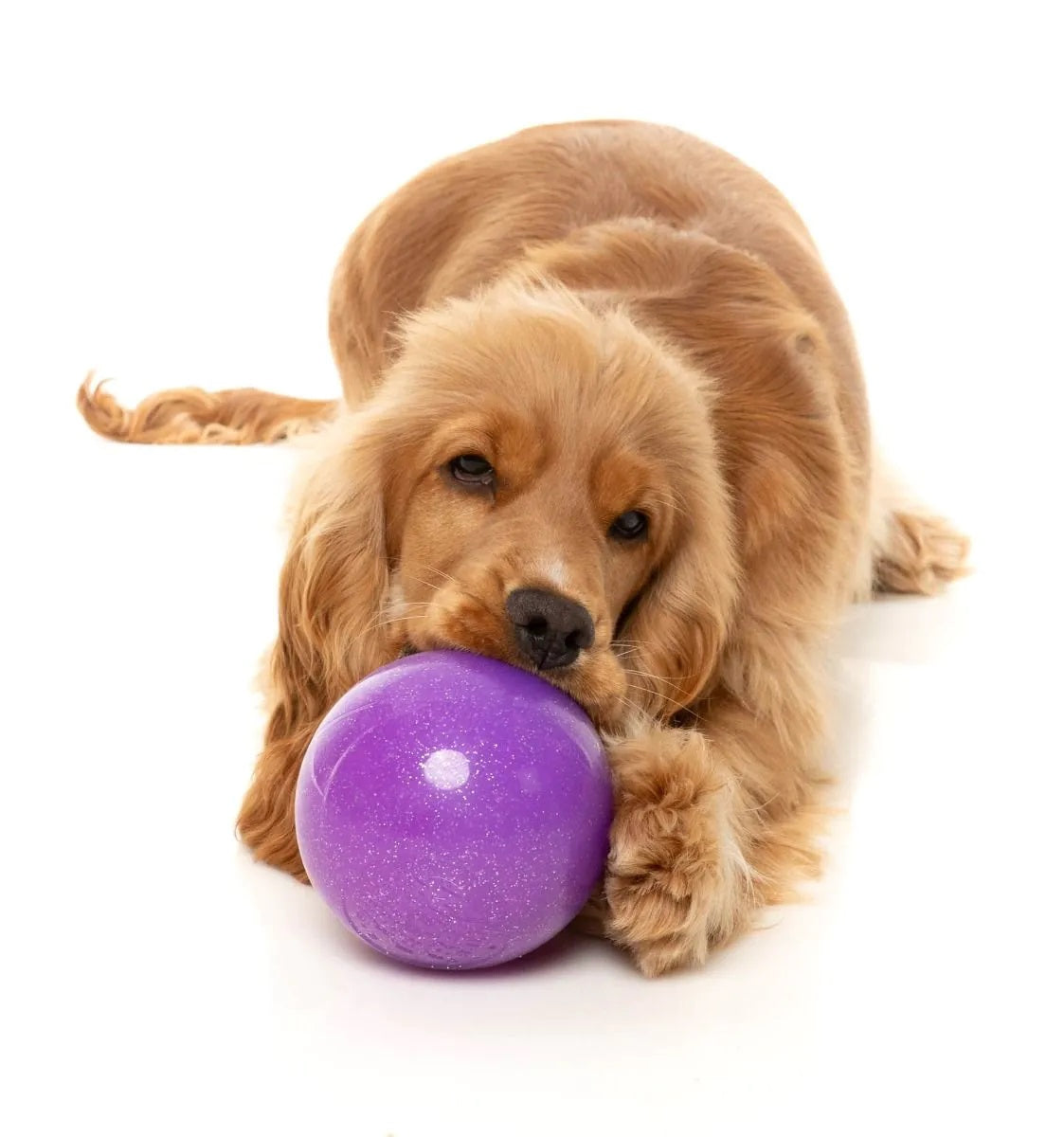 FuzzYard Truth Tellin' Treat Ball Dog Chew Toy