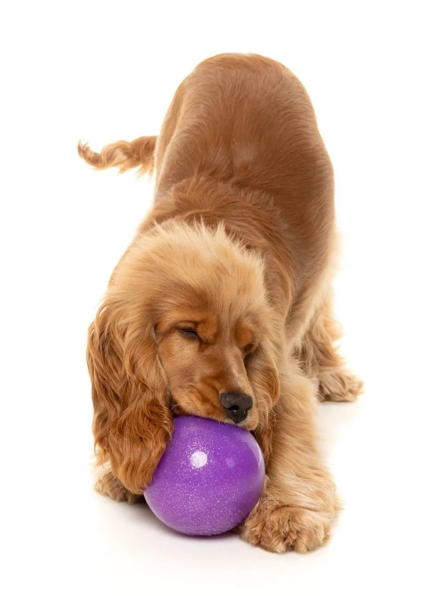 FuzzYard Truth Tellin' Treat Ball Dog Chew Toy